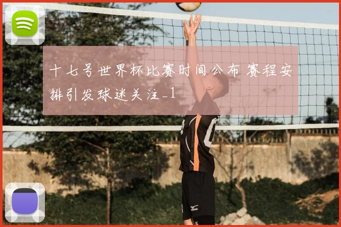 十七号世界杯比赛时间公布 赛程安排引发球迷关注_1