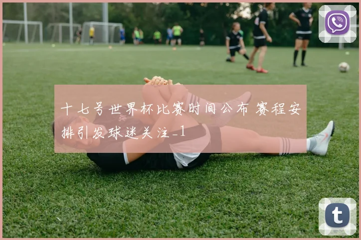 十七号世界杯比赛时间公布 赛程安排引发球迷关注_1