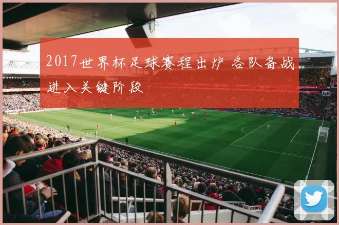 2017世界杯足球赛程出炉 各队备战进入关键阶段