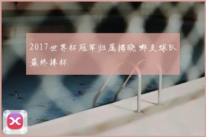 2017世界杯冠军归属揭晓 哪支球队最终捧杯